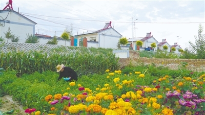 <p>　　鲜花装扮移民新居。</p>