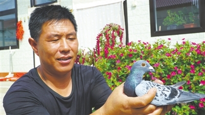 <p>　　移民马永宏展示饲养的信鸽。</p>