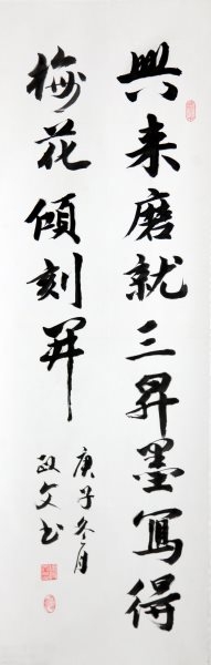 徐政文 书法《行书条幅》(佳作奖）.jpg