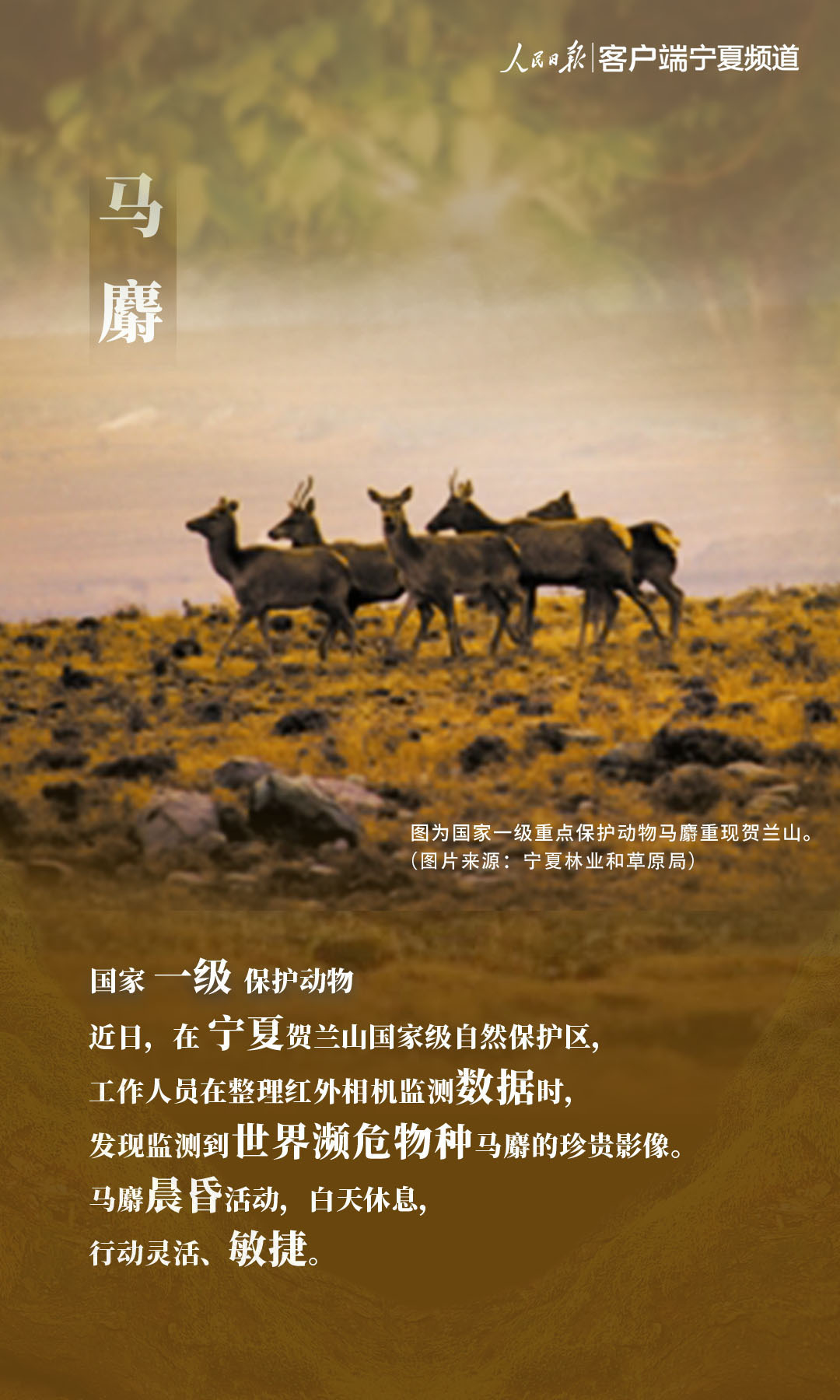 微信图片_20210318181401.jpg?x-oss-process=style/w10