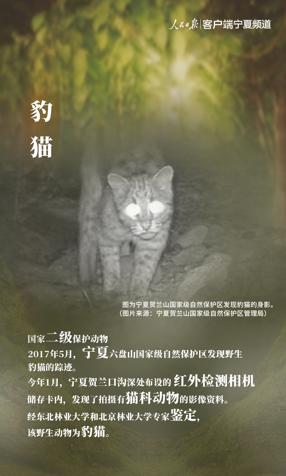 微信图片_202103181811061.jpg?x-oss-process=style/w10