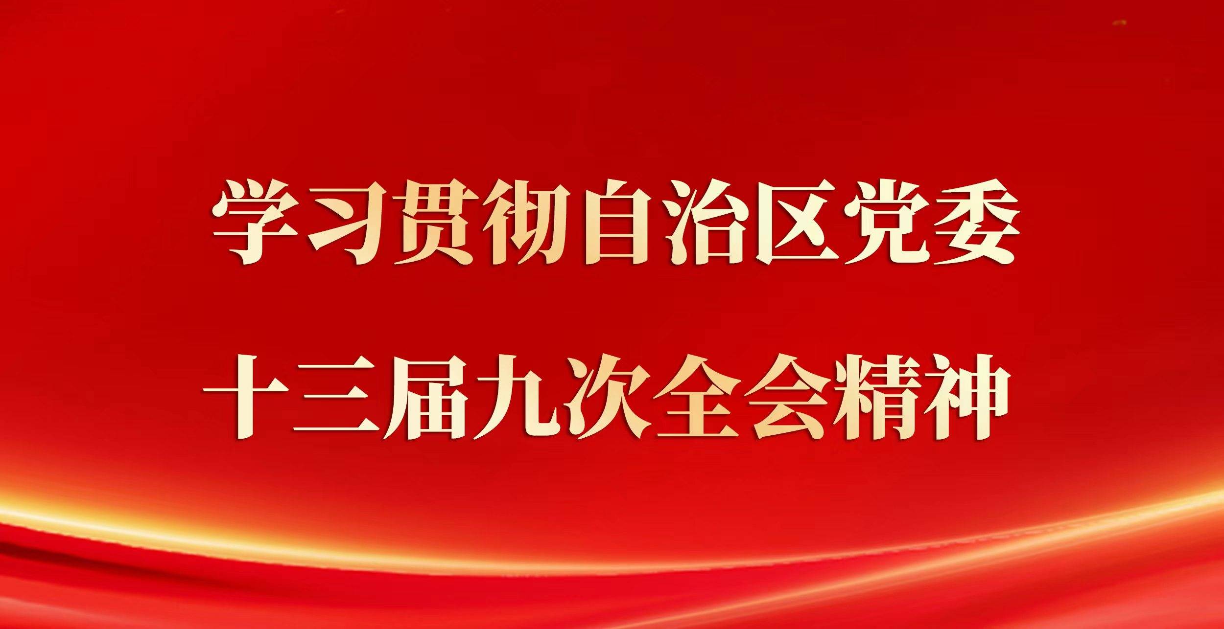 学习贯彻自治区党委十三届九次全会精神